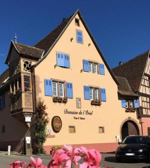 Апартаменты Les Vendangeurs Niedermorschwihr Экстерьер фото