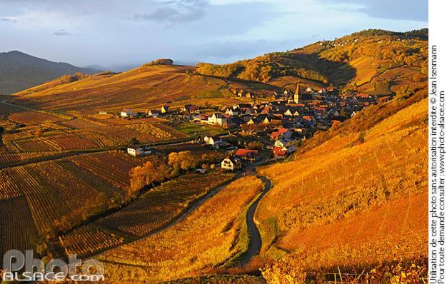 Апартаменты Les Vendangeurs Niedermorschwihr Экстерьер фото